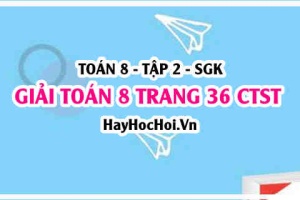 Giải Toán 8 trang 36 tập 2 Chân trời sáng tạo